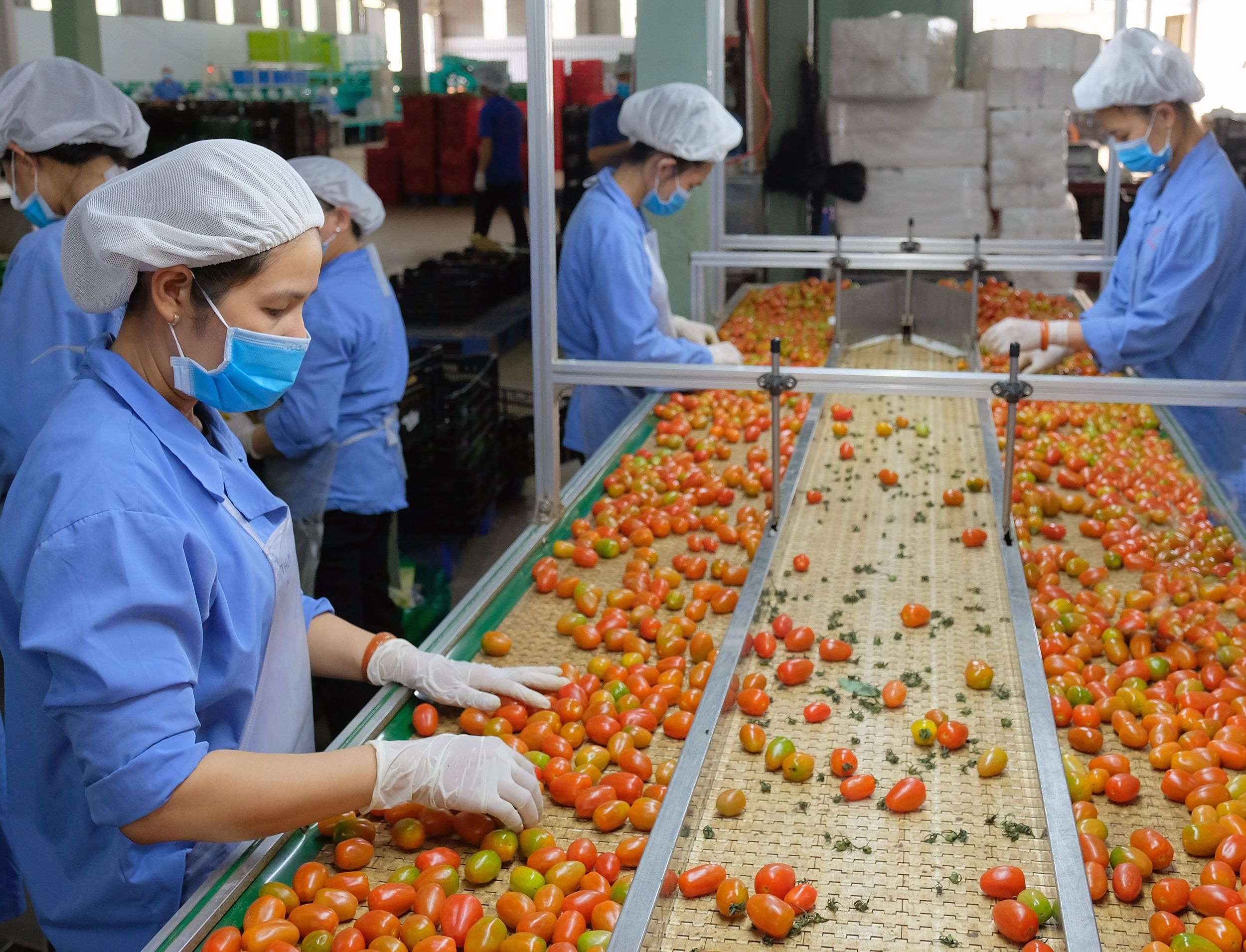Chế biến sản phẩm thủy hải sản. (Ảnh: QUANG QUÝ)