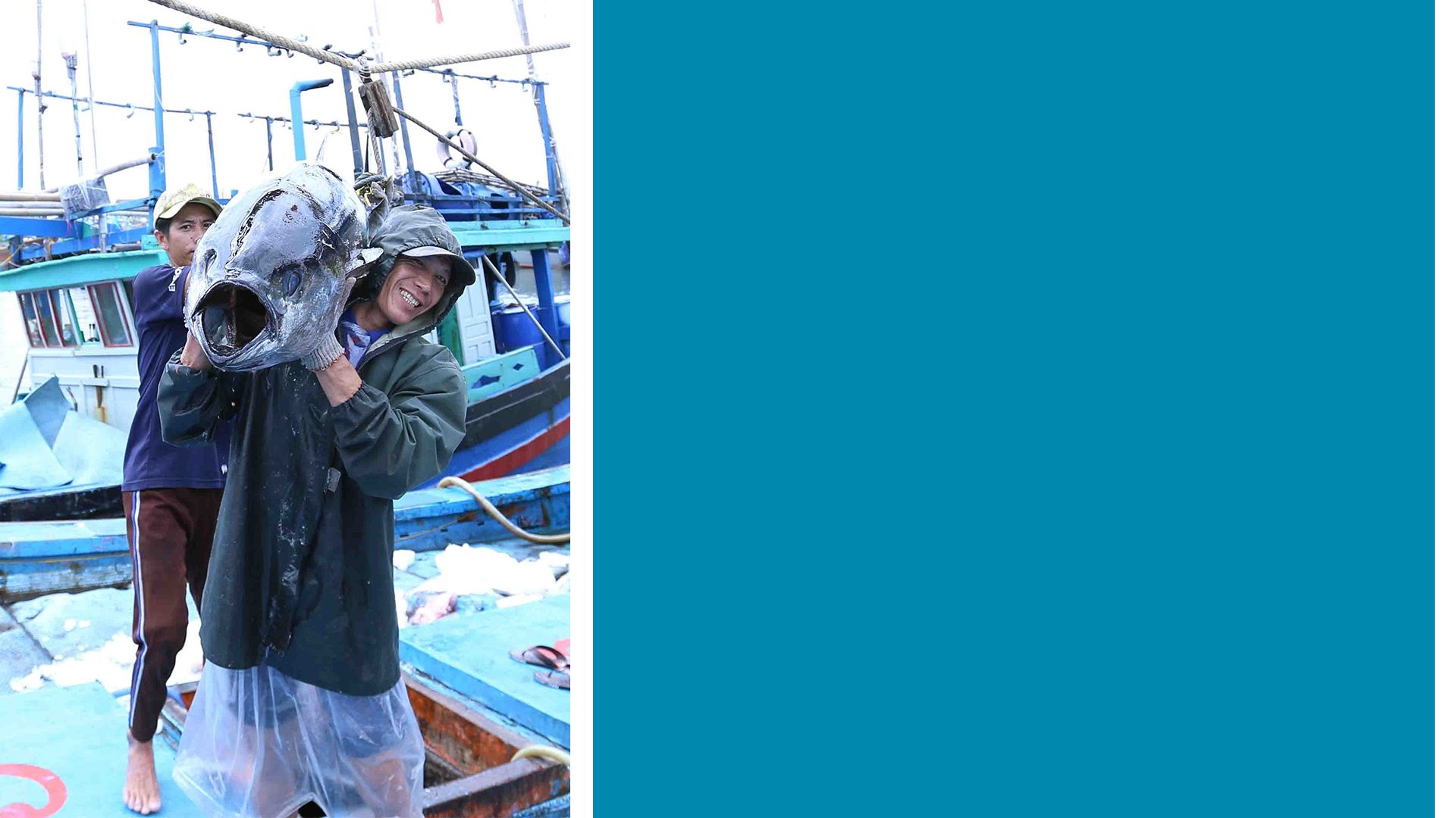 Khanh Hoa fishermen stick to the sea, trying to remove IUU 'yellow card' 