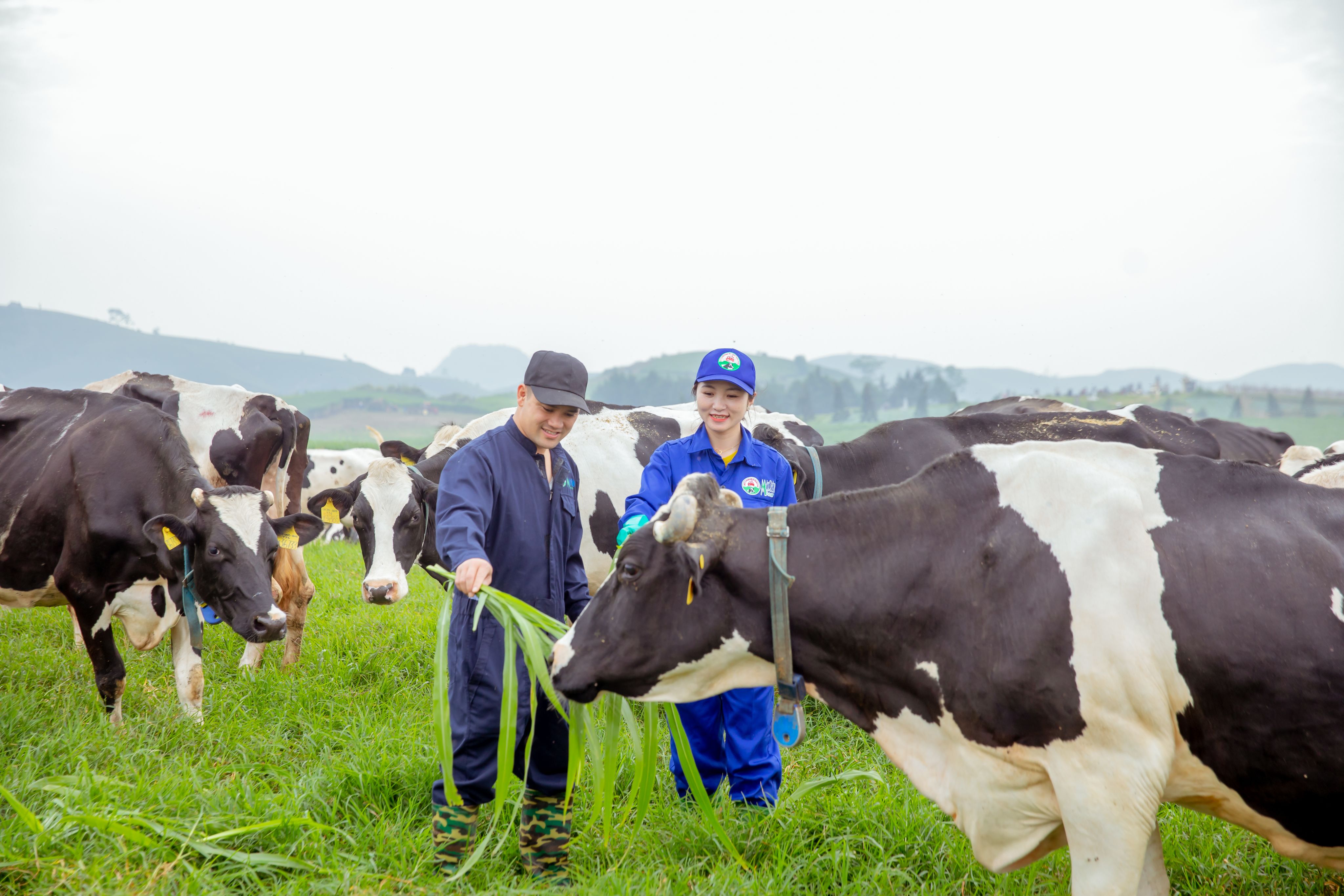 Vinamilk góp 1 triệu ly sữa với hoạt động “Cùng góp điểm xanh, cho Việt Nam  khỏe mạnh” | Báo Dân tộc và Phát triển