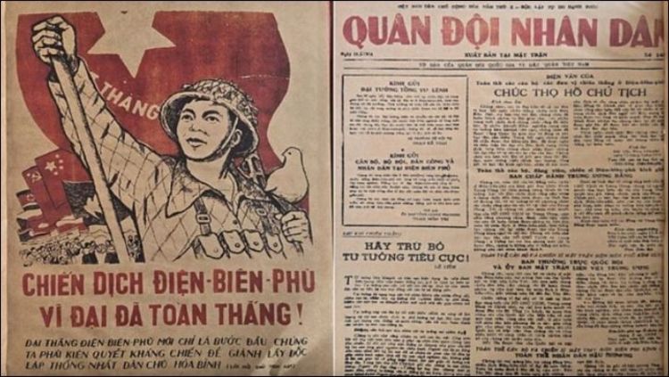 A pink flower floats on a pink background.